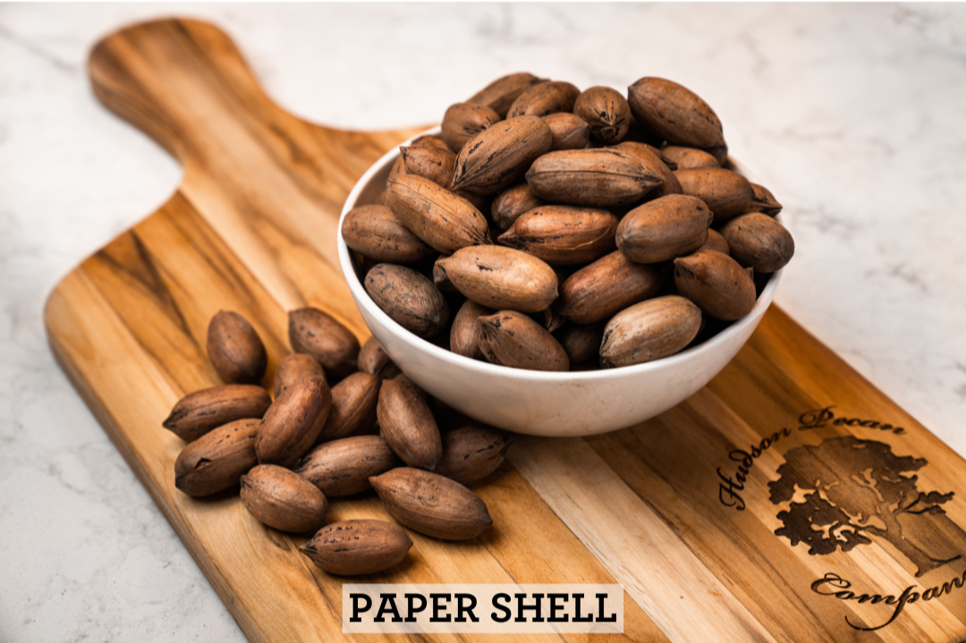 Pecan Shelll Paper Shell Pecans | Hudson Pecan – Hudson Pecan Company