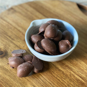 Chocolate Covered Pecans - Hudson Pecan Company